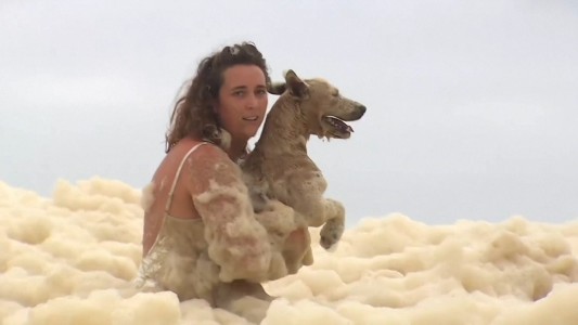 Desesperado rescate de un perro bajo la espuma marina