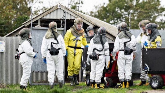 Nueva cepa de coronavirus: detectaron casos en Dinamarca y Suecia cerró la frontera