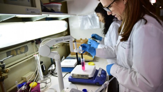 Coronavirus en Córdoba: 274 casos positivos y 7 fallecimientos