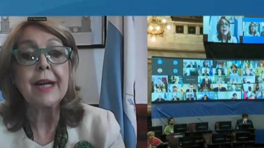Aborto: senadora adelanto qué cambio se pedirá en la promulgación tras aprobar la ley
