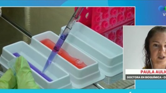 ¿Cepa argentina? Una mutación en el genoma del Covid-19 abre sospechas sobre una variante del virus en el país