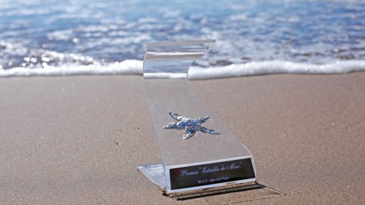 Estos son los nominados a los premios Estrella de Mar