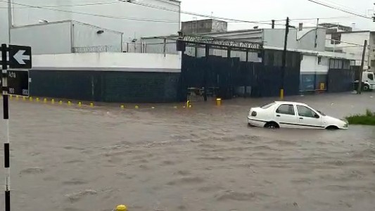 Impactantes imágenes del temporal en Mar del Plata: calles anegadas y autos arrastrados por la corriente