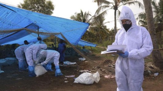 Rusia detectó el primer caso de transmisión de cepa H5N8 de gripe aviar a humanos