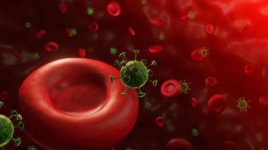 Confirman que el coronavirus es más agresivo con gente que tiene un tipo de sangre específico