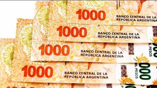 ANSES: tres nuevos programas que pagan hasta $20.500 por mes