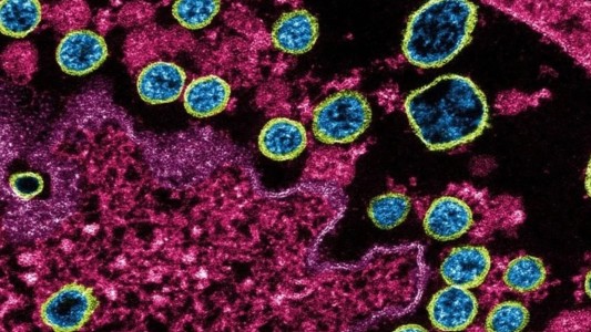 Un hallazgo confirma que es posible infectarse con dos variantes de coronavirus al mismo tiempo