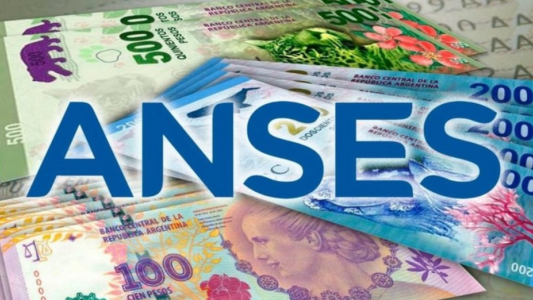 Anses: quiénes podrán cobrar hasta $22.677 en los próximos meses