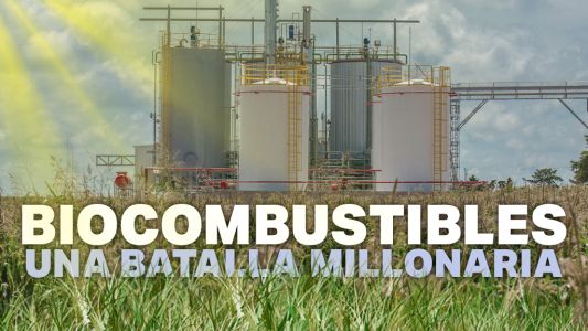 Polémica por la ley de biocombustibles