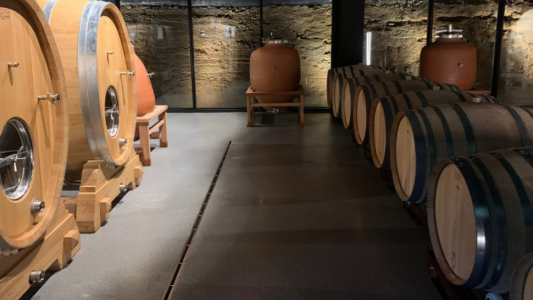 Cómo anotarse para trabajar en una bodega que ofrece pagar 10.000 dólares, una casa y vino gratis