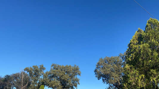 La semana abre con cielo despejado. Conocé el pronóstico extendido