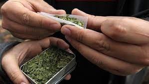 Nueva York aprobó el uso recreativo de la marihuana