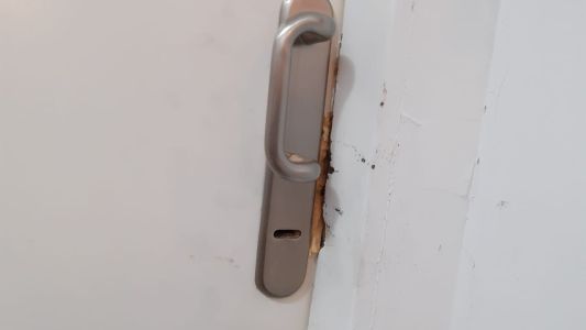 Robaron tres departamentos de un mismo edificio en barrio Alta Córdoba