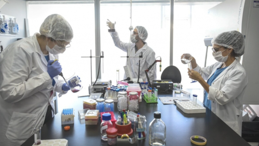 Alberto Fernández destacó el "desempeño de primer nivel mundial" de los investigadores argentinos