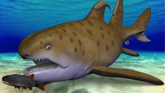 Lo bautizaron Dracopristis hoffmanorum, pero es más fácil decirle Tiburón Godzilla