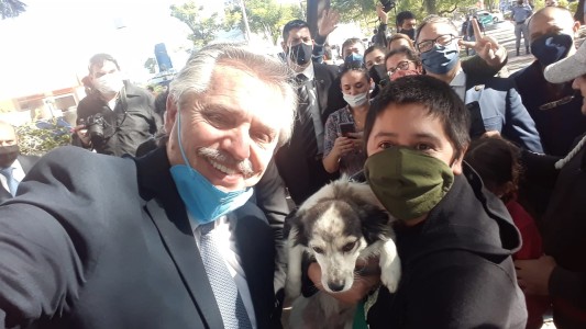 El polémico retuit de Alberto Fernández: con Putin "vacunando" un gorila