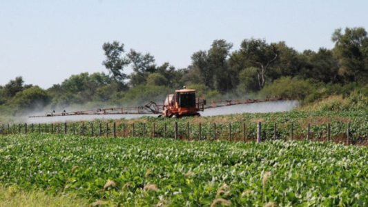 Revelan daño genético y presencia de glifosato en niños de Dique Chico
