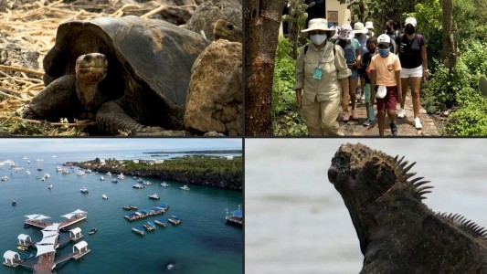 La pandemia expulsó a los humanos del paraíso de Galápagos