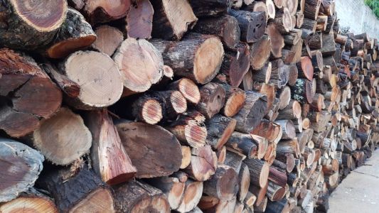 Llegó el frío y calefaccionar a leña te deja helado: 14 mil pesos la tonelada