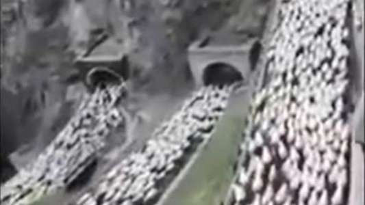 El increíble éxodo de las ovejas a través de la montaña