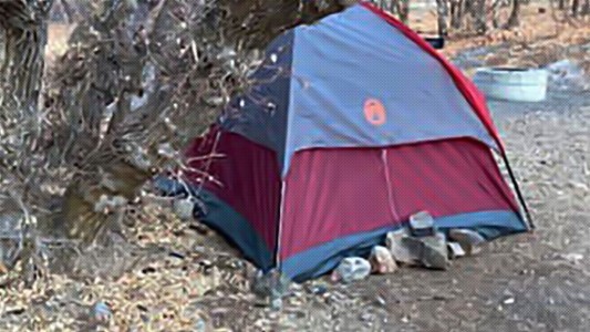 Desapareció durante 6 meses y la encontraron viviendo en una carpa en el bosque comiendo pasto