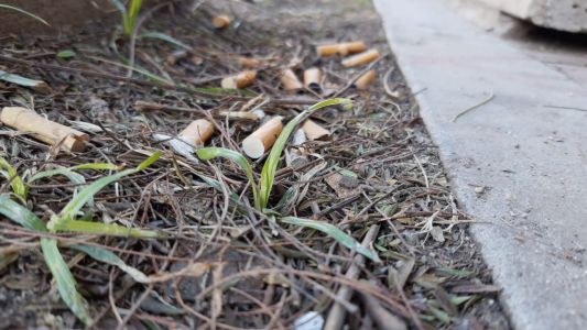 Proponen multar a quienes arrojen colillas de cigarrillos al piso