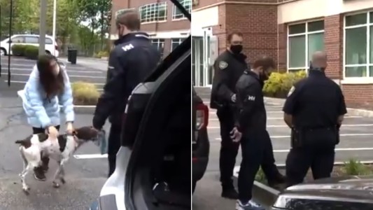 Periodista reportaba sobre el robo de un perro, vio a un sospechoso paseándolo y logró que lo arresten