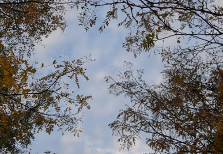 Anticipan tiempo húmedo, fresco por la mañana, una máxima de 22°