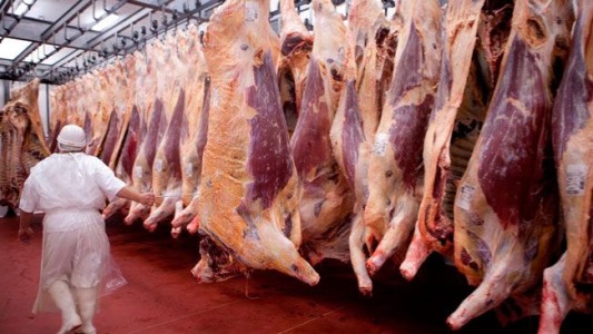 Polémica por la prohibición de exportación: El campo convocó a un cese de comercialización de carne