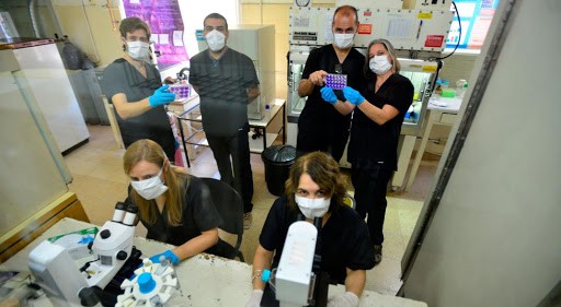 Sputnik V destaca la investigación cordobesa sobre la efectividad de la vacuna ante la cepa de Manaos