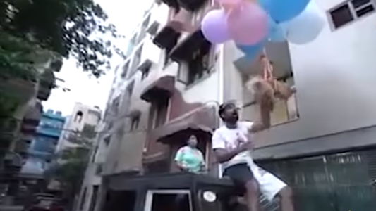 Nueva Delhi, la policía detiene a un youtuber por elevar a su perro atado a globos