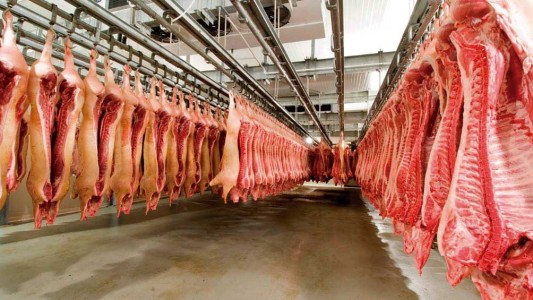 Inhabilitaron a otros seis exportadores de carne por "no liquidar divisas"