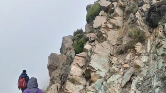 Murió una maestra rural al caer de un precipicio en Salta: caminaba 8 horas para ir a vacunarse