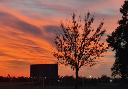 Tiempo seco, cielo parcialmente nublado, máxima de 22°
