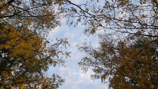 Cómo estará el clima este miércoles