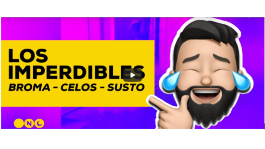 Los imperdibles de Telefe Noticias: mirá los videos más graciosos