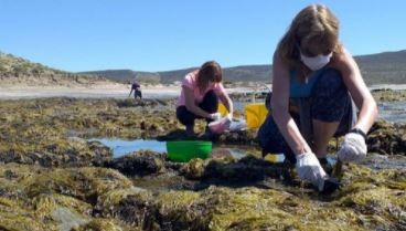 Producirán fideos con algas creados por investigadores de la Universidad Nacional de la Patagonia