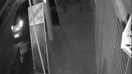 Villa Elisa: La llevaban cautiva y se arrojó del auto