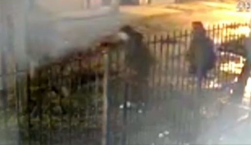 Una pareja arrojó su celular a un jardín para evitar un robo: el motochorro les exigió que saltaran la reja para buscarlo