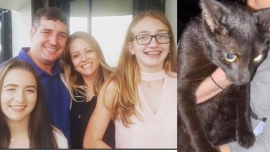 La historia de "Binx", el gato negro que sobrevivió al derrumbe de Miami y reapareció entre los escombros