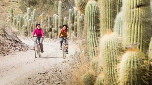 Qué requisitos exige cada provincia para ingresar en vacaciones de invierno