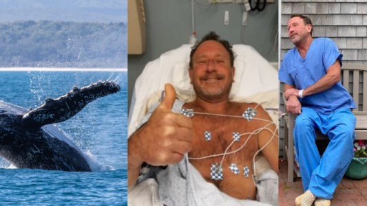 "Sentí sus mandíbulas aplastando mis piernas": el dramático relato del hombre que fue tragado por una ballena y sobrevivió