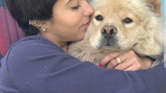 Una chica ofrece un IPhone 8 para recuperar a su perra