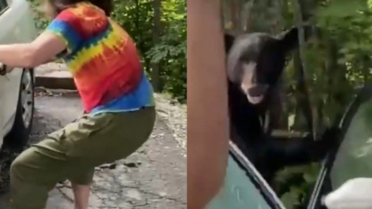 Impactante: abrió la puerta de su coche y salió un oso