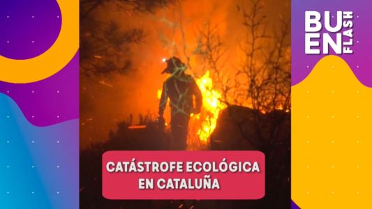 #BUENFLASH:  incendios y desastre ecológico en Cataluña, llegaron más vacunas y otros temas importantes del día