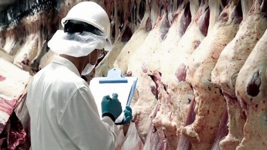 Sin exportar carne, todos perdieron: clientes pagan 18% más y no ingresaron U$S 108 millones