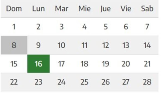El 16 de agosto será feriado y quedarán 6 más hasta fin de año