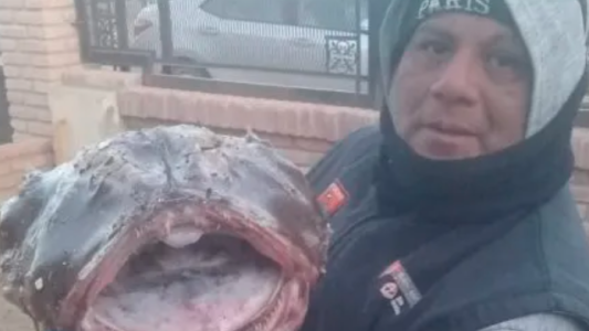 El extraño pez con colmillos y antenas que atrapó un pescador en la Patagonia
