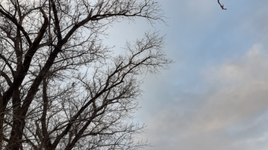 Muy frío y seco, ascenso de temperatura, máxima de 16°