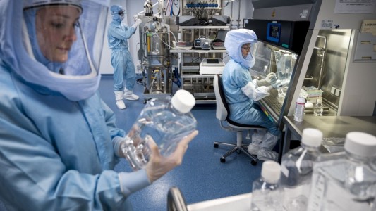 Alarma en África por el virus Marburgo: tan mortal como el Ébola y que la OMS pidió "atajar ya"